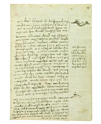 Códice sobre el vuelo de los pájaros, Folio 13 recto